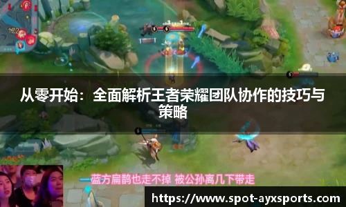 从零开始：全面解析王者荣耀团队协作的技巧与策略